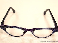 Design brilmontuur theo van dyck - afbeelding 2 van  4