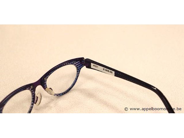 Design brilmontuur theo van dyck - afbeelding 4 van  4