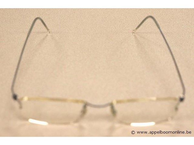 Design brilmontuur - afbeelding 2 van  3