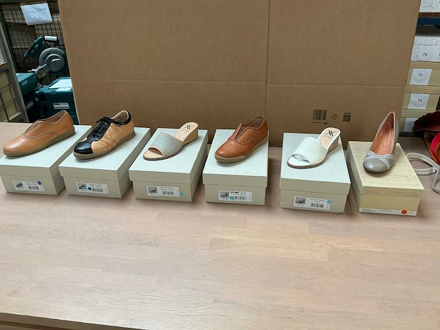 Design damesschoen 37 (6x) - afbeelding 1 van  14