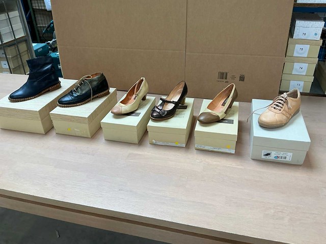 Design damesschoen 37 (6x) - afbeelding 1 van  14