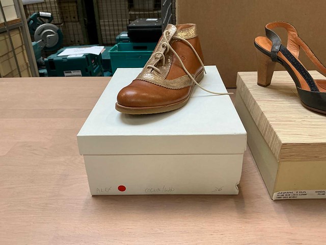 Design damesschoen (6x) - afbeelding 8 van  16