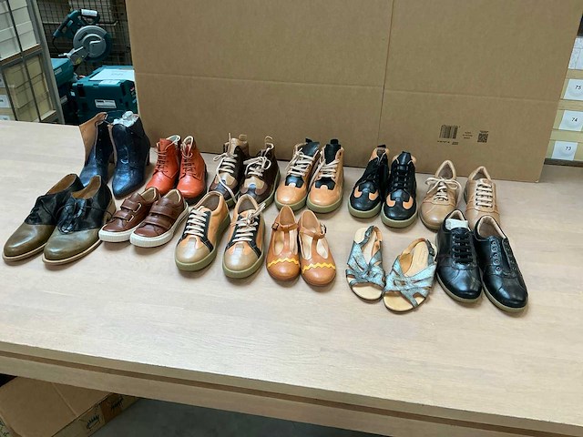 Design schoenen (12x) - afbeelding 1 van  8