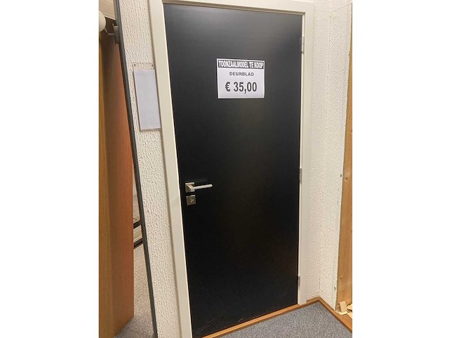 Deuren (11x) - afbeelding 4 van  14