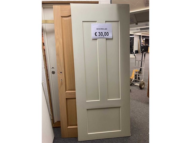 Deuren (11x) - afbeelding 11 van  14