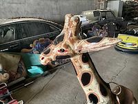 Devos - other attraction - afbeelding 3 van  9