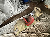 Devos carrouselbok - afbeelding 4 van  6