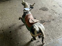 Devos carrouselkoe - afbeelding 6 van  6