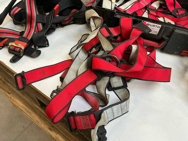 Dewalt veiligheidsharnas (3x) - afbeelding 2 van  7