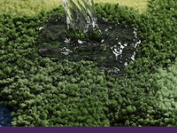 Dexi badmat 50 x 80 cm - afbeelding 3 van  4