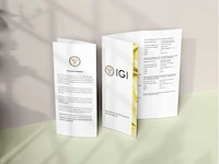 Diamond-ronde 3 ct's - igi gecertificeerd e vvs - afbeelding 2 van  3