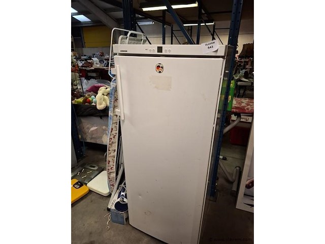 Diepvries - afbeelding 1 van  2