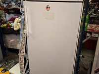 Diepvries - afbeelding 1 van  2