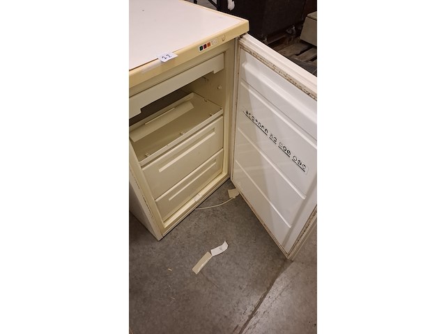 Diepvries - afbeelding 1 van  2