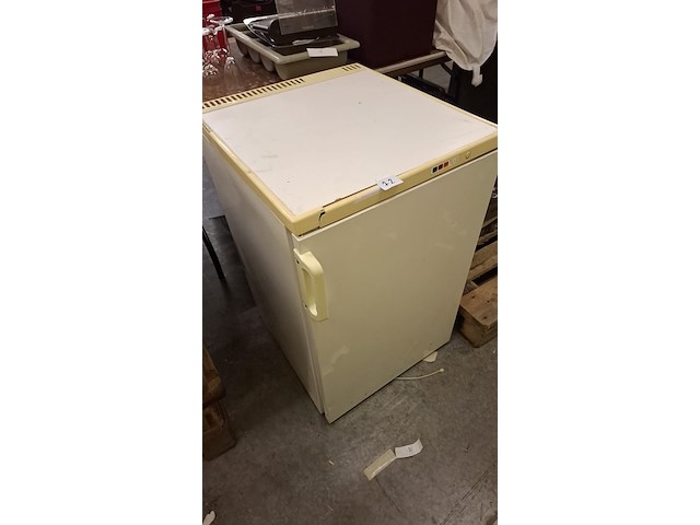 Diepvries - afbeelding 2 van  2