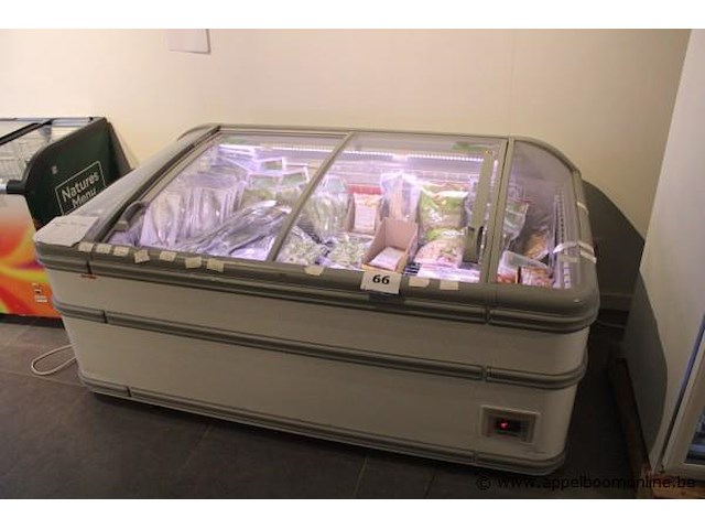 Diepvrieskist aht ( met inhoud) - afbeelding 1 van  2