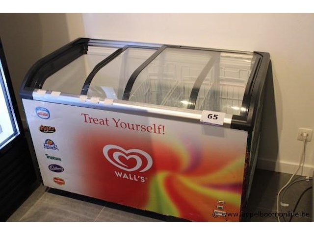 Diepvrieskist (met inhoud) - afbeelding 1 van  1