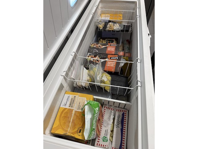 Diepvrieskist tensai - afbeelding 3 van  6