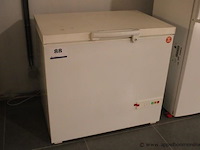 Diepvrieskoffer (met inhoud) siemens - afbeelding 1 van  2