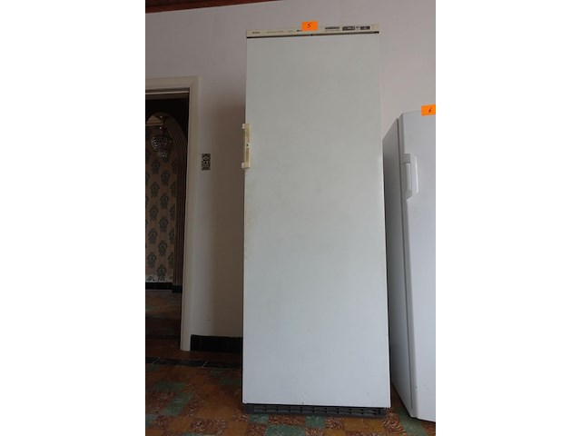 Diepvriezer bosch - afbeelding 1 van  3
