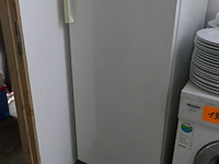 Diepvriezer + wasmachine - afbeelding 2 van  4