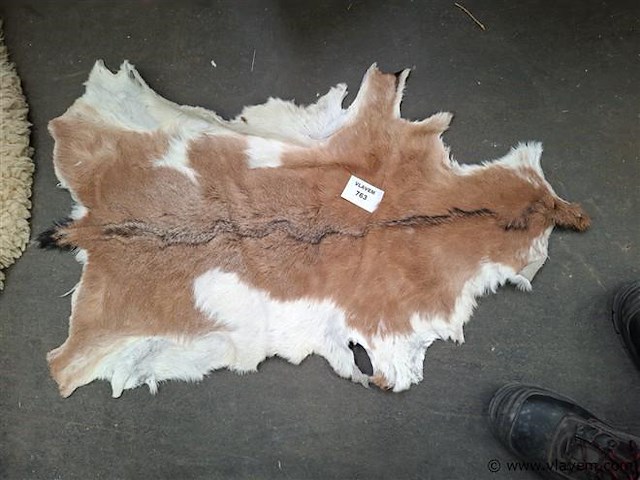 Dierenhuid - afbeelding 1 van  1