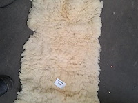 Dierenhuid - afbeelding 1 van  1
