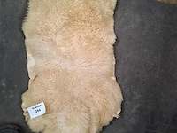 Dierenhuid - afbeelding 1 van  1