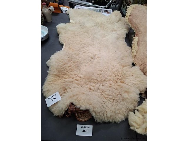 Dierenhuid - afbeelding 1 van  1