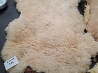 Dierenhuid - afbeelding 1 van  1