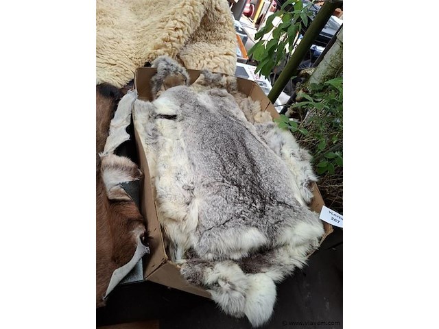 Dierenhuid - afbeelding 1 van  2