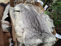 Dierenhuid - afbeelding 1 van  2
