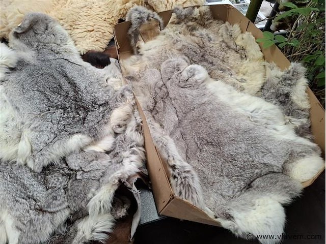 Dierenhuid - afbeelding 2 van  2