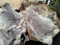 Dierenhuid - afbeelding 2 van  2