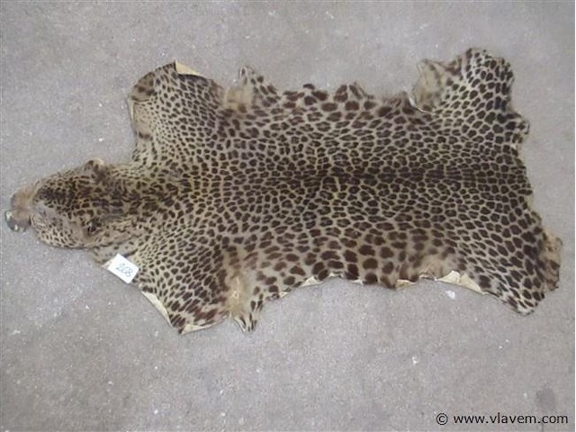 Dierenvel - afbeelding 1 van  3