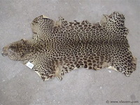 Dierenvel - afbeelding 1 van  3