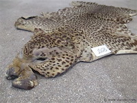 Dierenvel - afbeelding 2 van  3