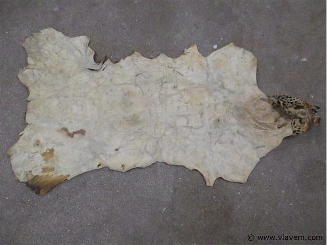 Dierenvel - afbeelding 3 van  3