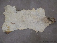 Dierenvel - afbeelding 3 van  3