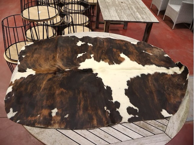 Dierenvellen - afbeelding 3 van  3