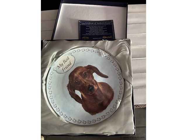 Dinner borden 4 stuks diameter 20cm - afbeelding 1 van  1