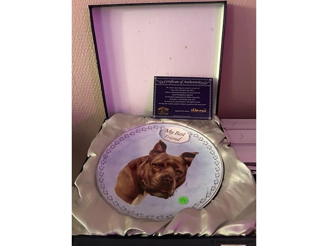 Dinner borden 4 stuks diameter 20cm - afbeelding 1 van  1