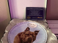 Dinner borden 4 stuks diameter 20cm - afbeelding 1 van  1
