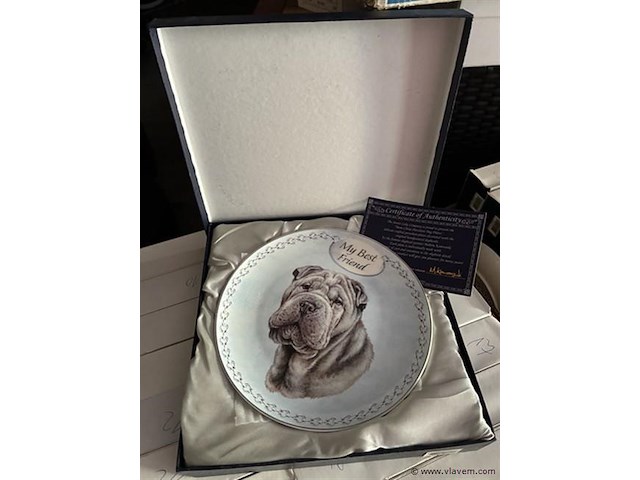 Dinner borden 4 stuks diameter 20cm - afbeelding 1 van  1