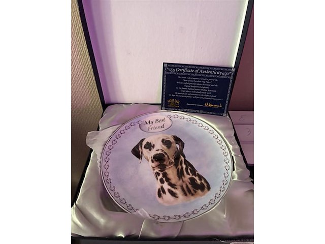 Dinner borden 4 stuks diameter 20cm - afbeelding 1 van  1