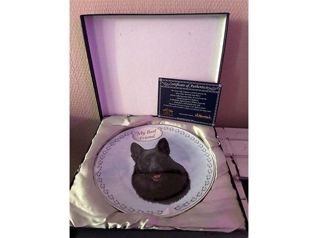 Dinner borden 4 stuks diameter 20cm - afbeelding 1 van  1