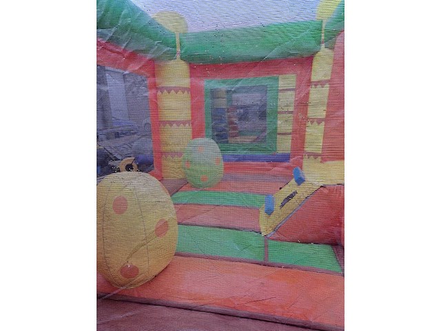 Dino mini - afbeelding 3 van  3