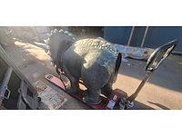 Dinosaurus triceratops - afbeelding 3 van  3