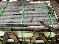 Diorithe zwembadboord 40 lm - afbeelding 2 van  3