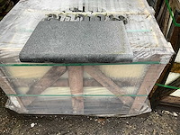 Diorithe zwembadboord 50 lm - afbeelding 1 van  2